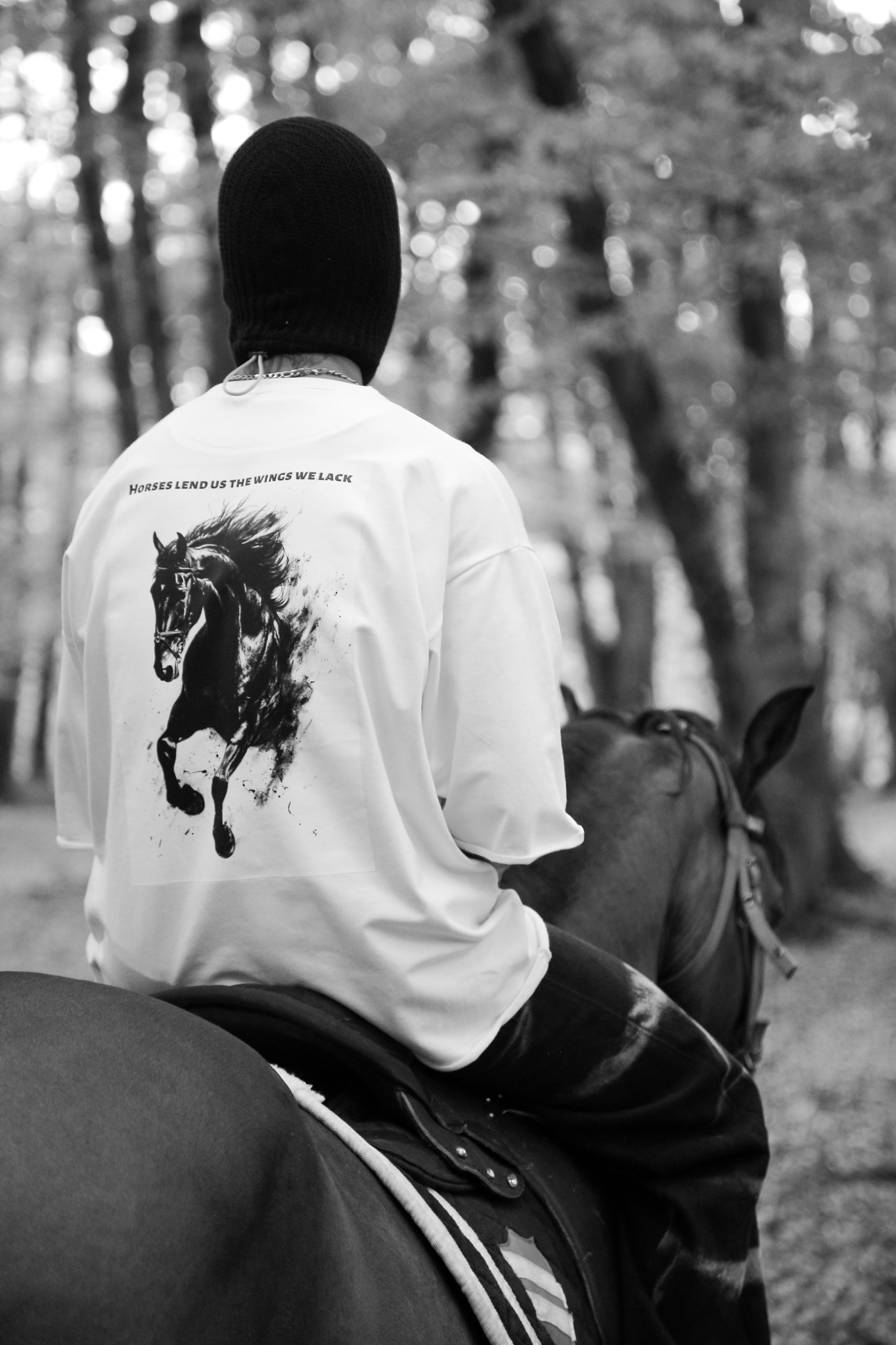 White Wing(بال سفید) - Image 3